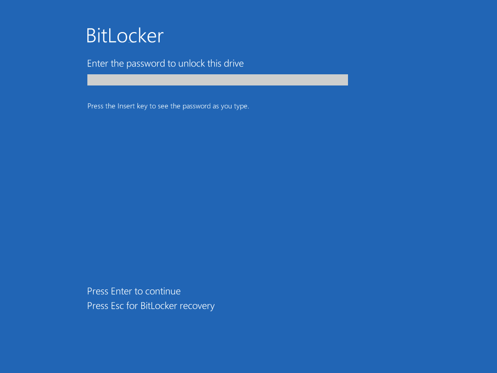 BitLocker prompts for password during every start-up