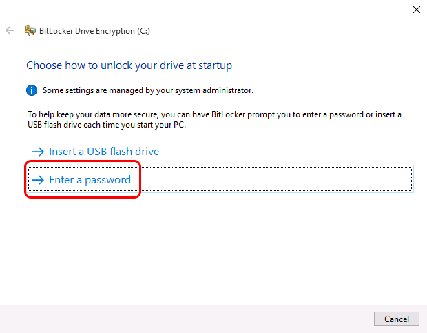 When prompted by BitLocker Setup Wizard, choose Password option to proceed